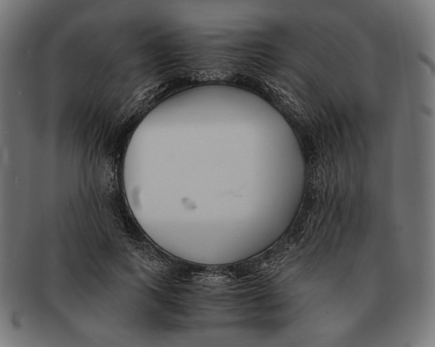 X0000091220743200709061459