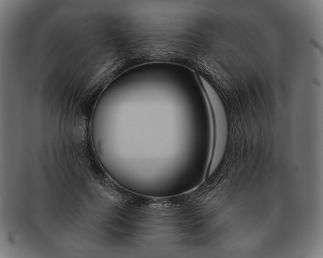 X0000091220744200709061459