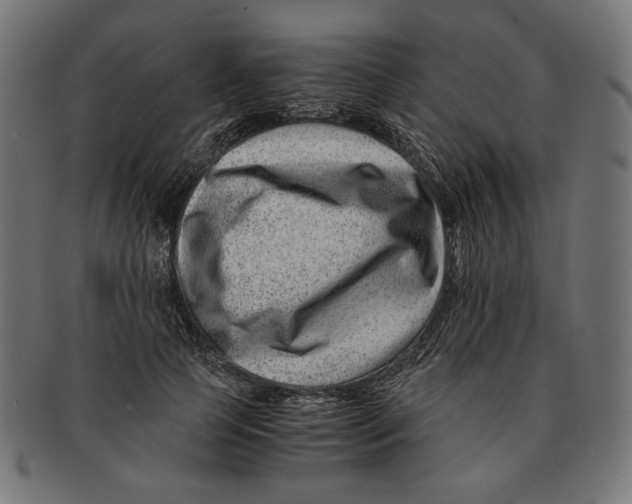 X0000091220745200709061459