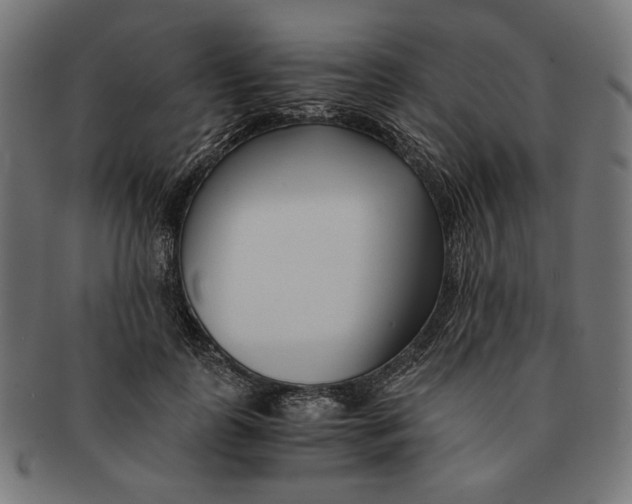 X0000091220747200709061459