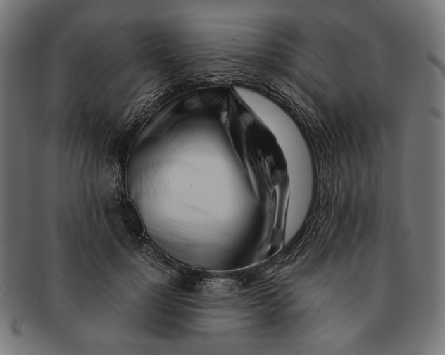 X0000091220748200709061459