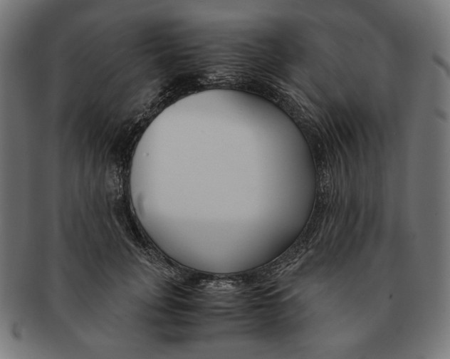 X0000091220751200709061459