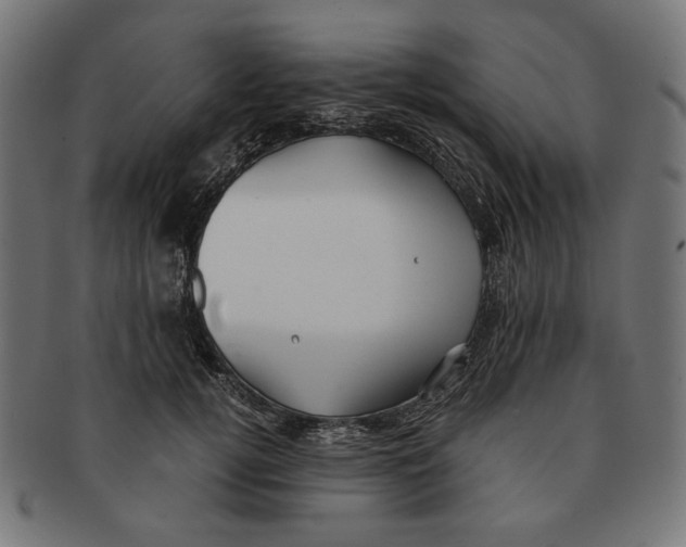 X0000091220752200709061459