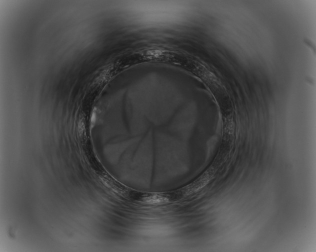 X0000091220754200709061459