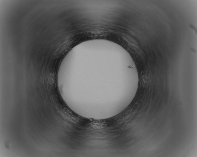 X0000091220756200709061459