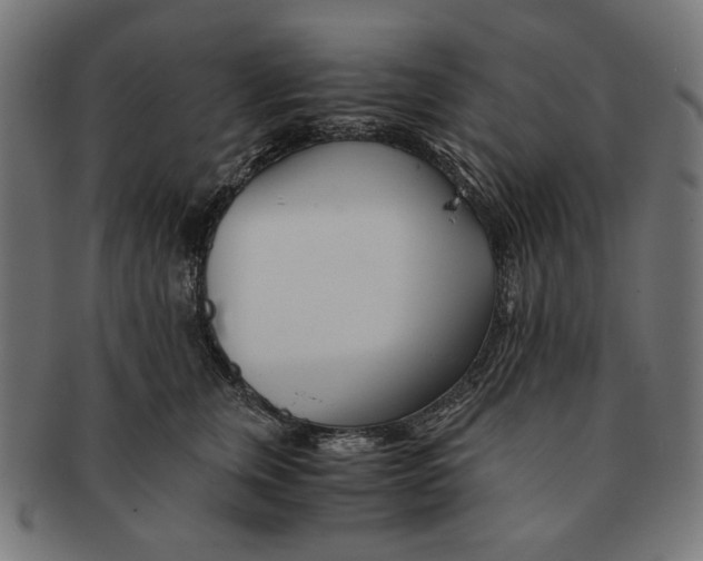 X0000091220759200709061459