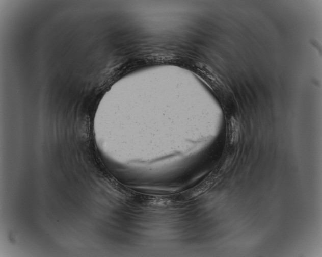 X0000091220760200709061459