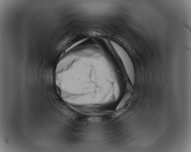 X0000091220762200709061459