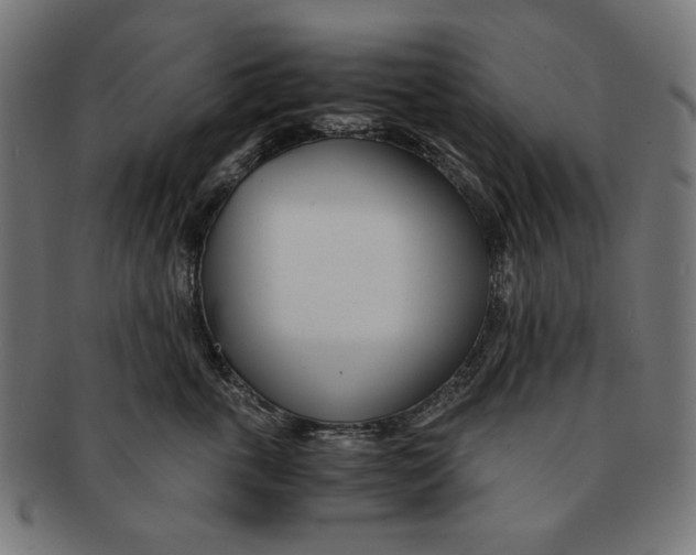 X0000091220763200709061459