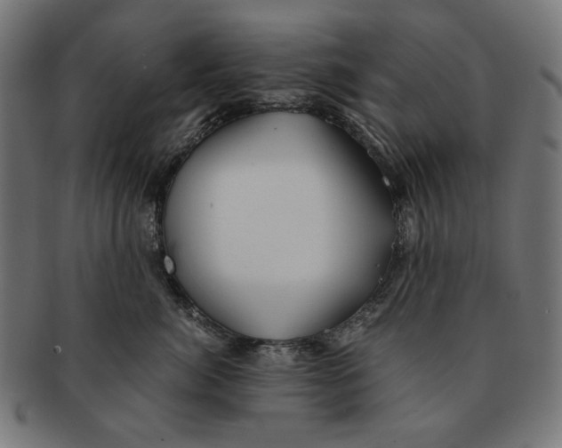 X0000091220764200709061459