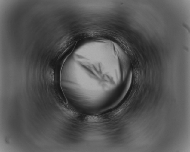 X0000091220766200709061459