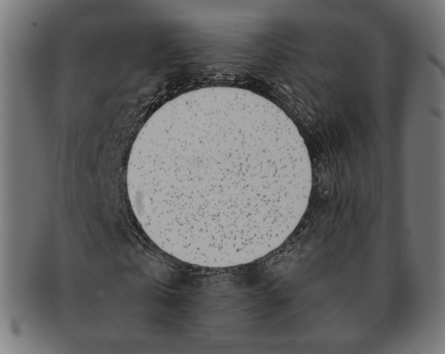 X0000091220769200709061459