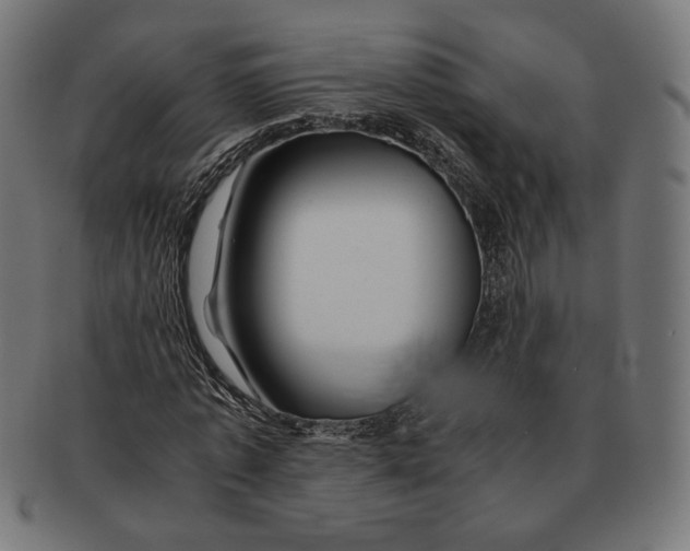 X0000091220773200709061459