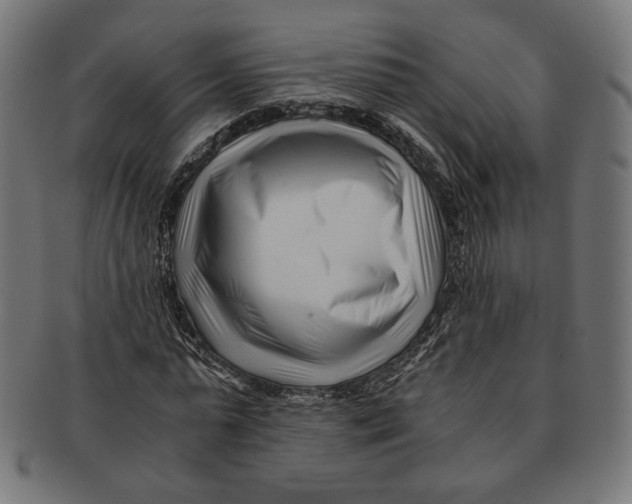 X0000091220775200709061459