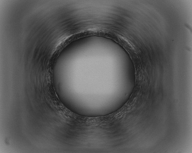 X0000091220776200709061459