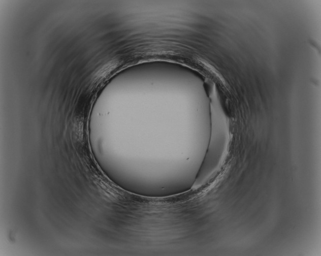 X0000091220777200709061459