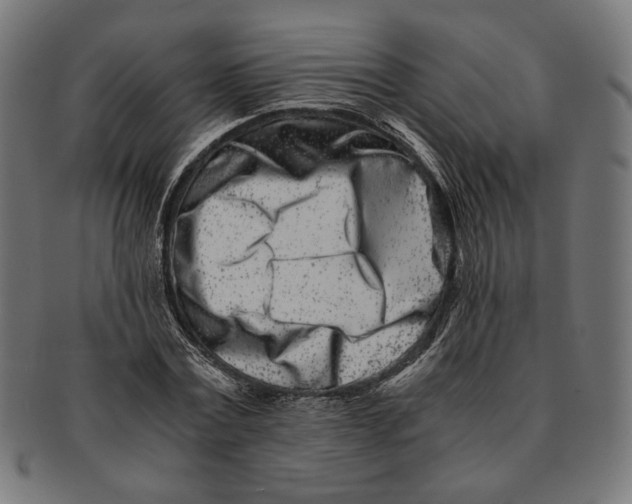 X0000091220779200709061459