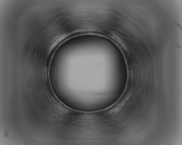 X0000091220781200709061459