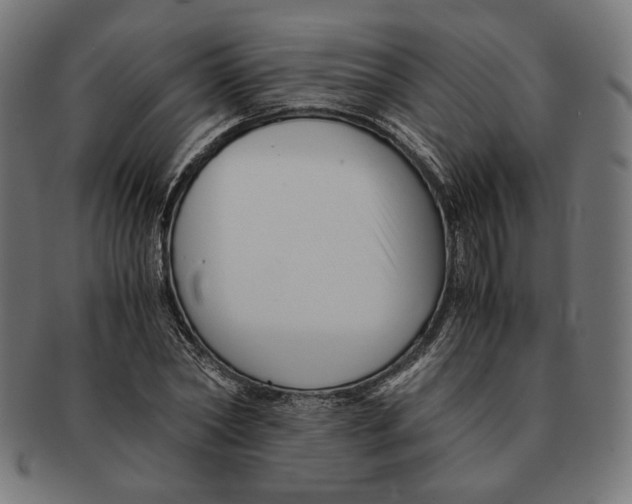 X0000091220782200709061459