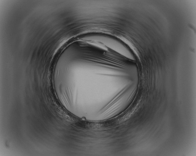 X0000091220783200709061459