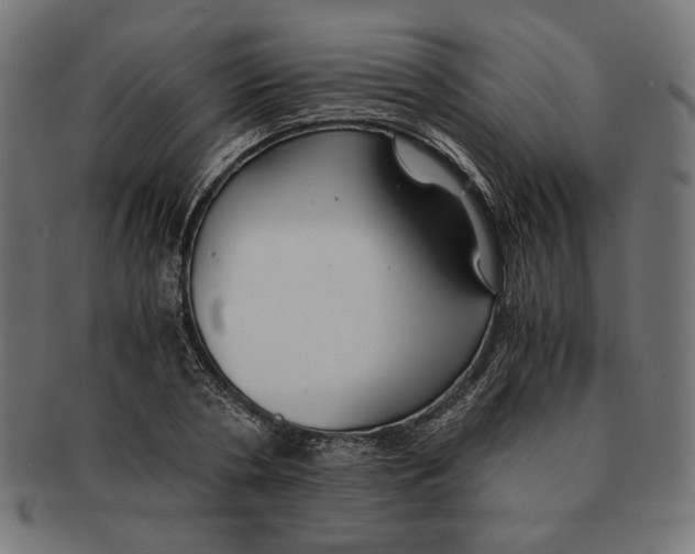 X0000091220786200709061458