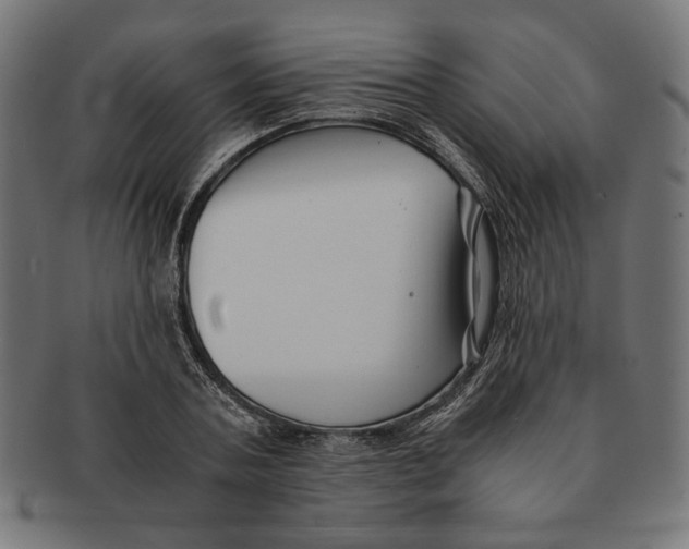 X0000091220787200709061458