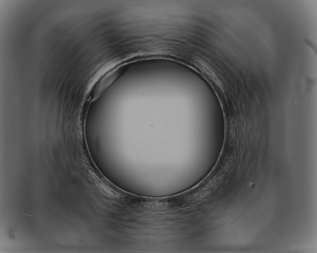 X0000091220789200709061458