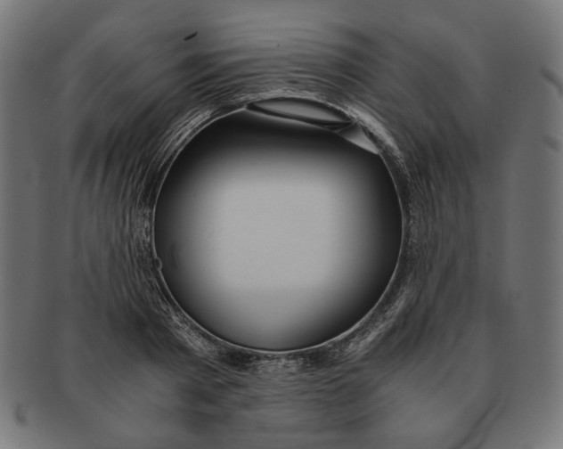 X0000091220793200709061458