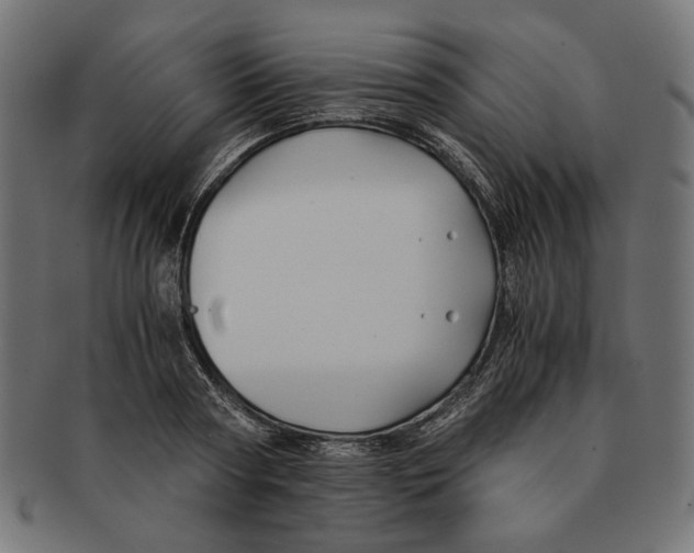 X0000091220794200709061458