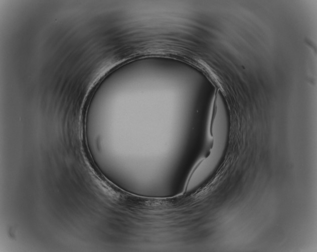 X0000091220795200709061458