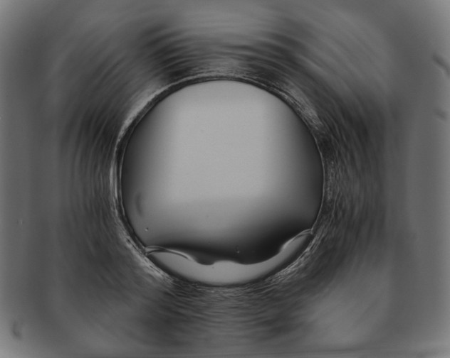 X0000091220796200709061458