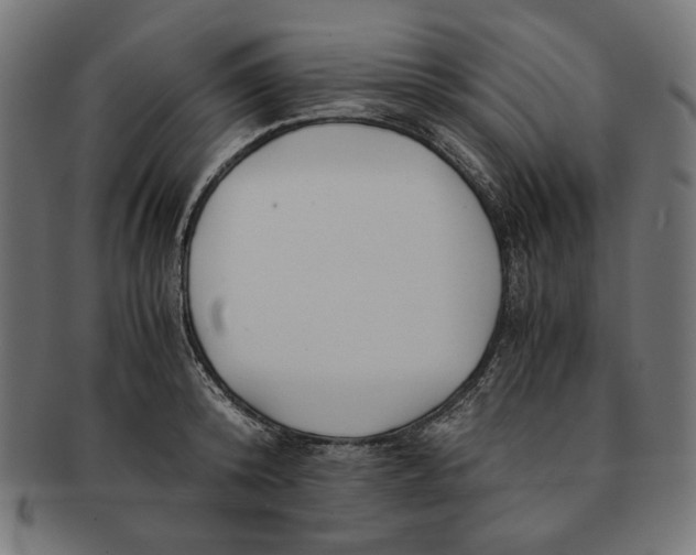 X0000091220800200709061458