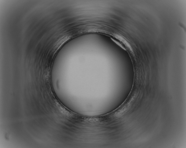 X0000091220801200709061458