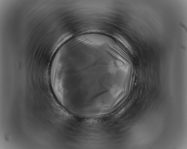 X0000091220806200709061458