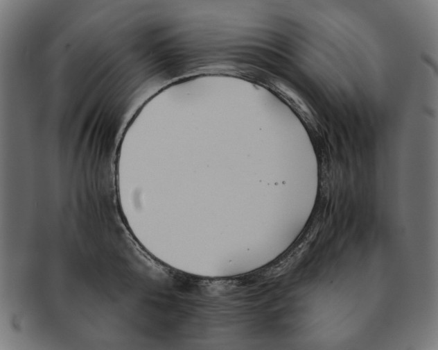 X0000091220808200709061458