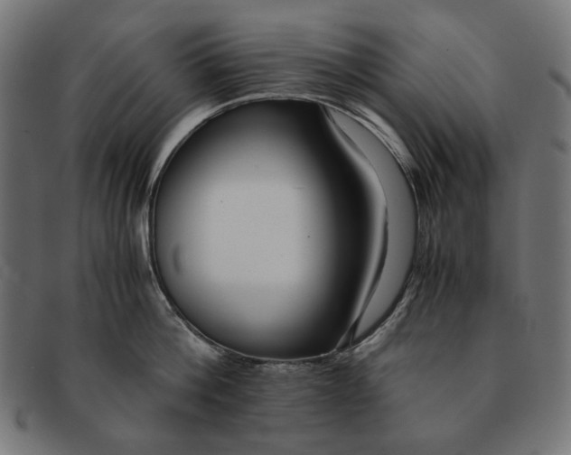 X0000091220812200709061458