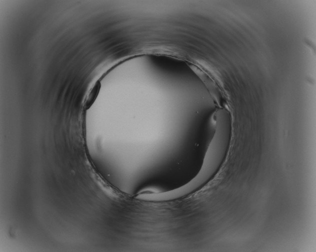 X0000091220816200709061458