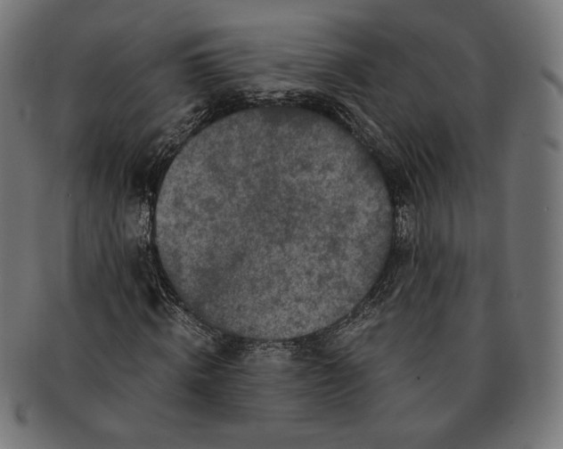 X0000091220820200709061458