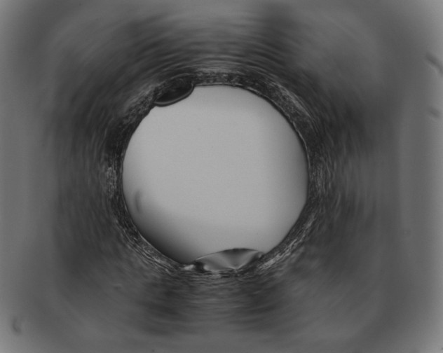 X0000091220821200709061458