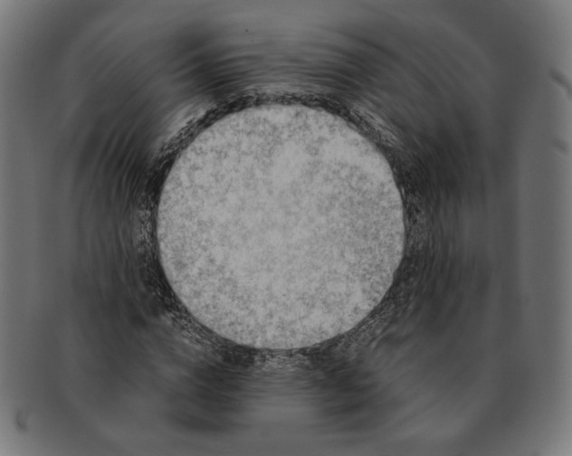 X0000091220824200709061458