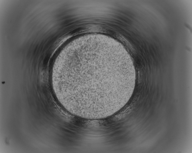 X0000091220828200709061458