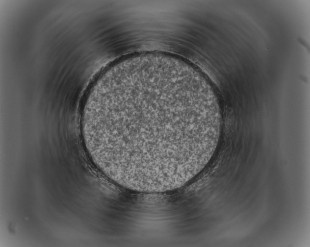 X0000091220832200709061458