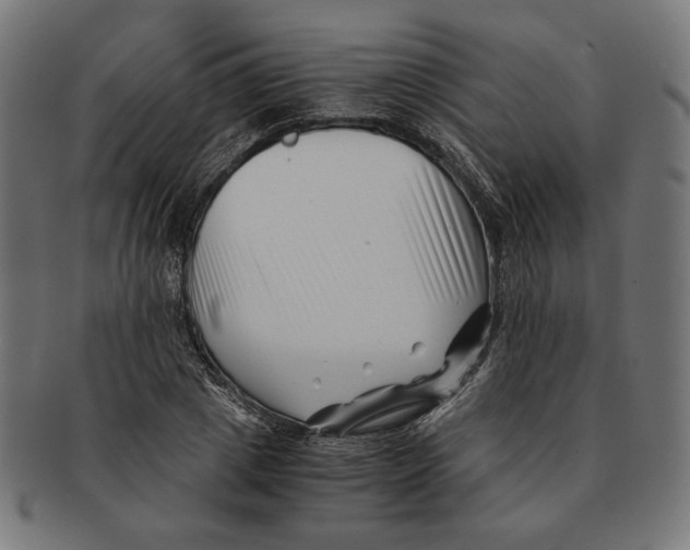 X0000091220833200709061458