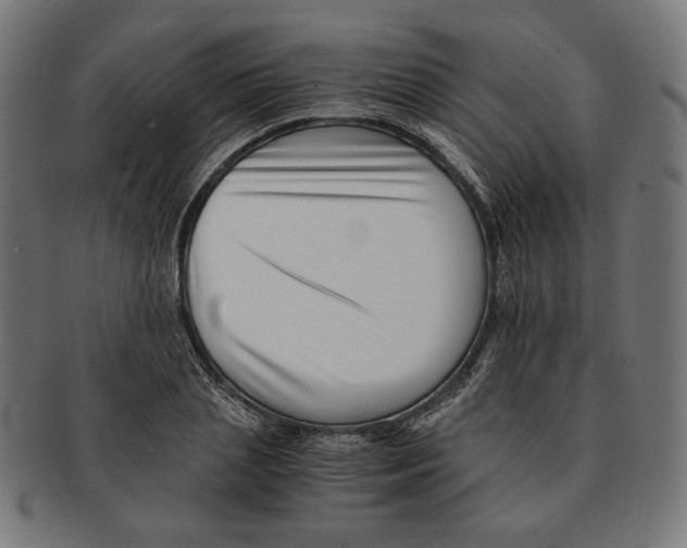 X0000091220837200709061458