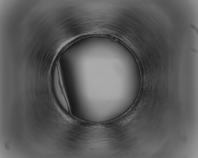 X0000091220838200709061458