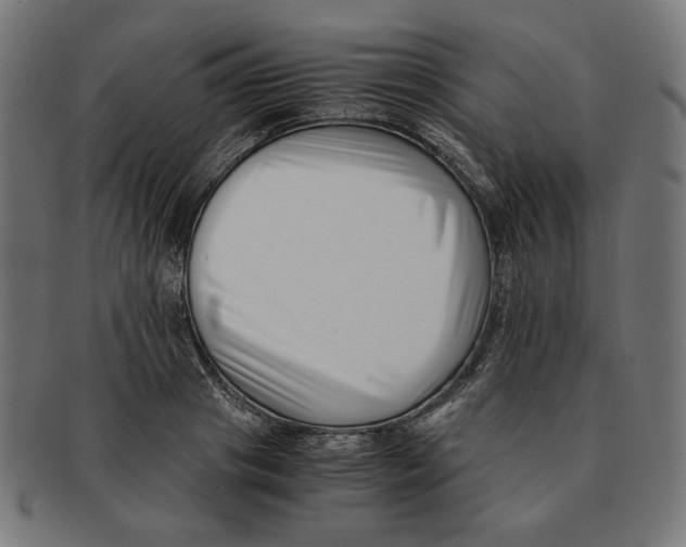 X0000091220841200709061458