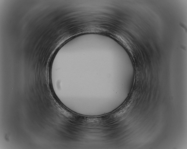 X0000091220843200709061458