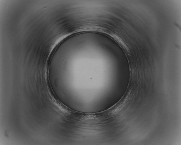 X0000091220846200709061458