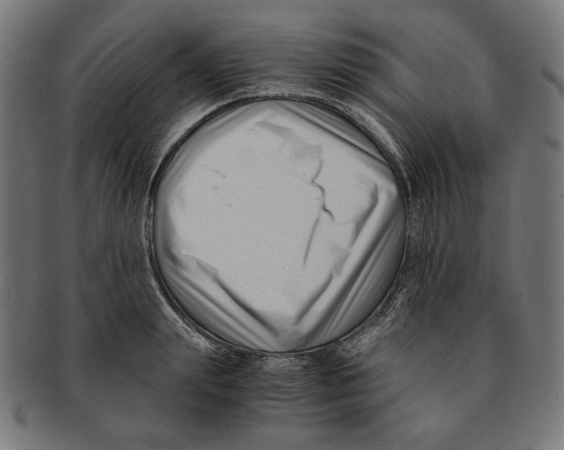 X0000091220847200709061458