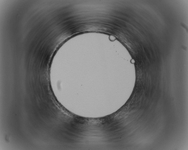 X0000091220848200709061458